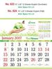 Click to zoom R623 English(Go-Green) Monthly Calendar 2017	