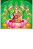 Click to zoom P-1019 Lakshmi Daily Calendar 2019