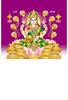 Click to zoom P-1025 Lord Lakshmi Daily Calendar 2019