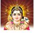 Click to zoom P-1056 Lord Karthikeyan Daily Calendar 2019