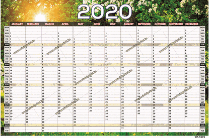 YP- 1575 Year Planner 2020 online printing