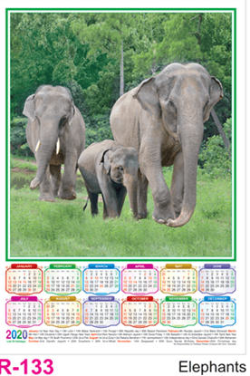 R 133 Elephants  Polyfoam Calendar 2020 Online Printing