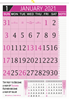 V803 13x19" 12 Sheeter Monthly Calendar Printing 2021