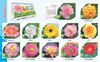 Click to zoom T410 Beautiful Flower - Table Calendar With Planner Print 2021