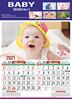 Click to zoom DM11A 14x20 Three Sheeter Monthly Calendar Print 2021