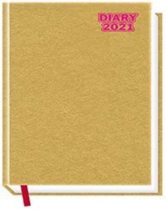 P3608  Diary print 2021