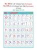 R645 Tamil(Panchangam)(F&B) Monthly Calendar Print 2022