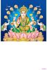 Click to zoom P1019 Lord Lakshmi Daily Calendar Printing 2023		