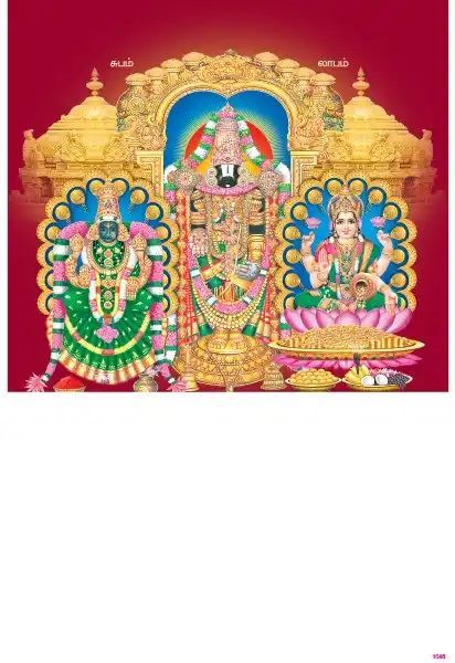 P1046 Thirupathi Kalyan Lakshmi Daily Calendar Printing 2023		