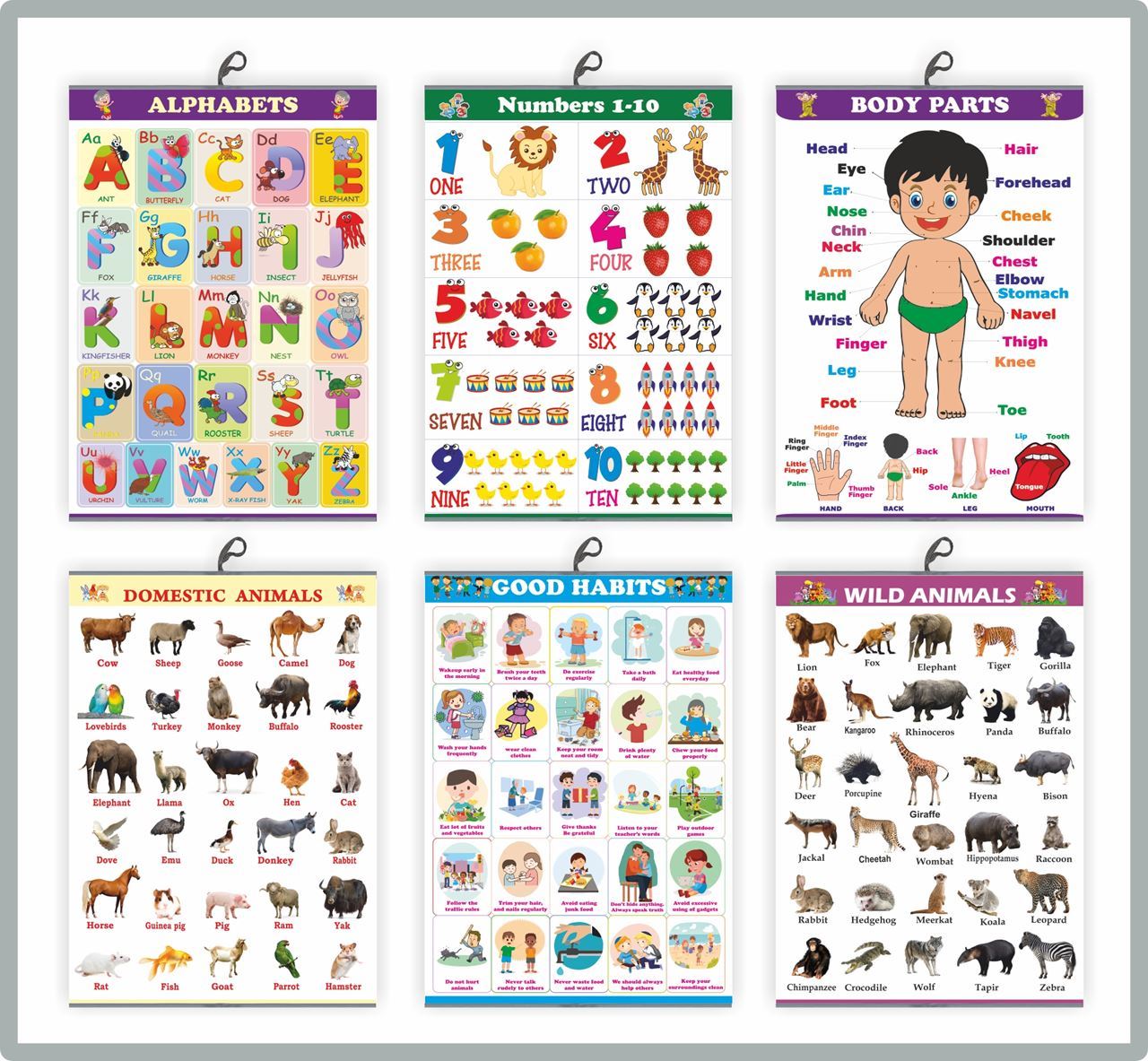 Early Learning Educational Charts set for Kids | 50X71 cm | Set of 6 | Non-Tearable and Waterproof | Double Sided Laminated | Perfect for Home, Kindergarten  schooling, and Nursery Students | Alphabet, Numbers, Animals and Good Habit Wall Chart