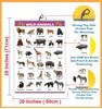 Wild Animals Chart for Kids Early Learning Educational Chart | Size-50X71CM