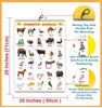 Click to zoom Domestic Animals Chart for Kids Early Learning Educational Chart | Size-50X71CM