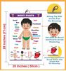 Body Parts Chart for Kids Early Learning Educational Chart | Size-50X71CM