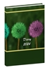 Click to zoom DN2409 Fuzzy Flower  Diary print 2024