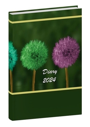 DN2409 Fuzzy Flower  Diary print 2024