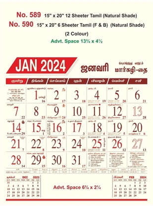 R589 Tamil(Natural Shade) Monthly Calendar Print 2024
