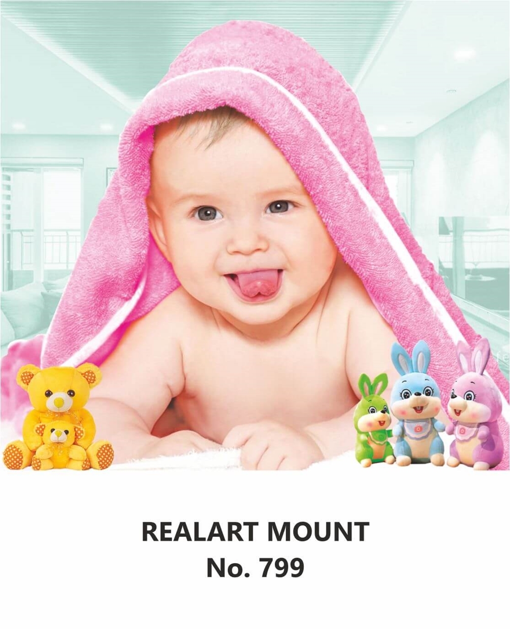 R799 Baby Daily Calendar Printing 2024