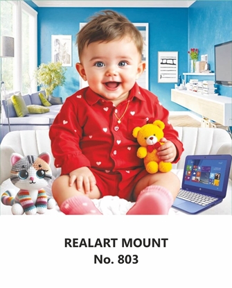 R803 Baby Daily Calendar 2026 Print 