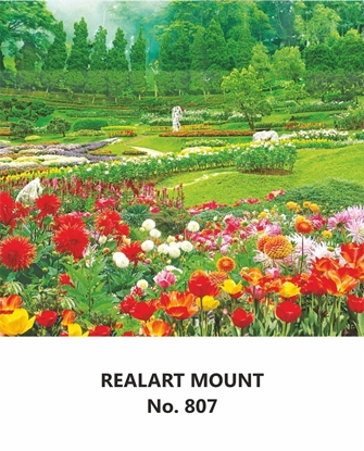 R807 Scenery Daily Calendar 2026 Print 