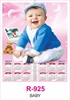 Click to zoom R925 Baby Single sheet Calendar 2027 Printing
